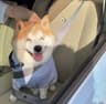 Hey软萌团子手记的头像