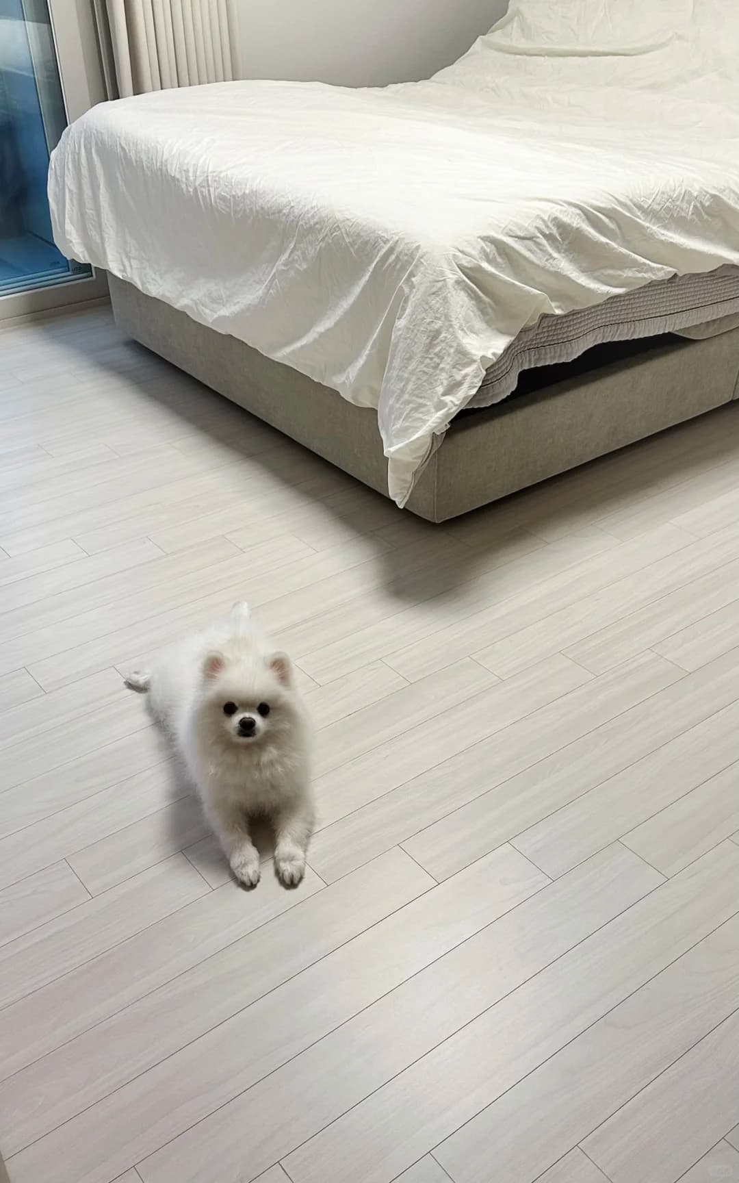 首尔买房记 ˘͈ᵕ˘͈🛋️🏡 𖠚ᐝ - 图片7