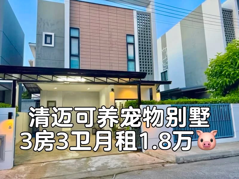 清迈Don Chan宠物友好别墅出租，3房3卫月租1.8万泰铢，近Unity/ACIS/Varee学校