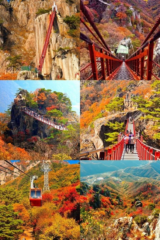 韩国大盾山秋季徒步：绝美红叶、云桥与天空阶梯，秋日登山首选地