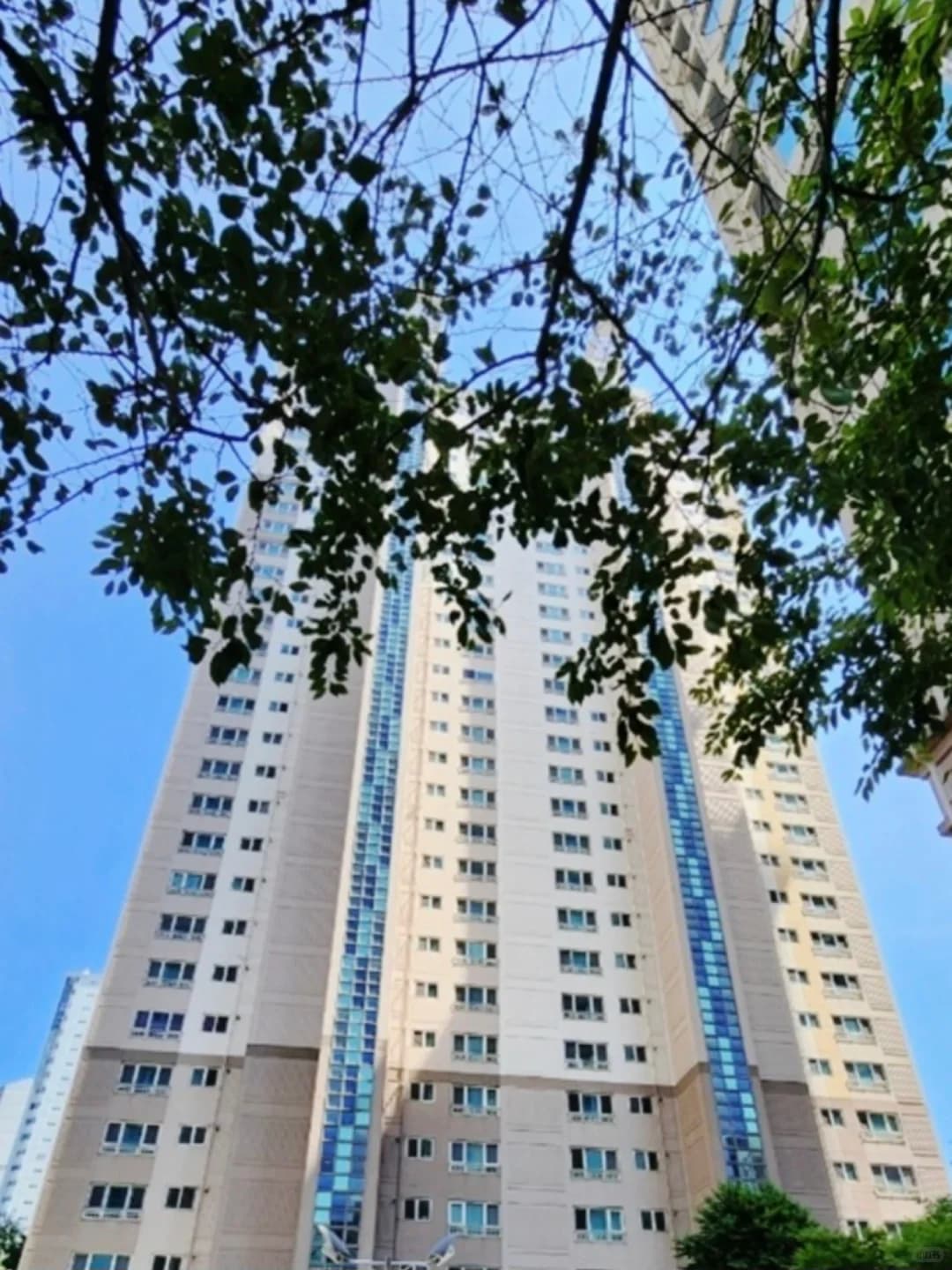 首尔新道林|品牌APT3居2卫106㎡250W月 - 图片2