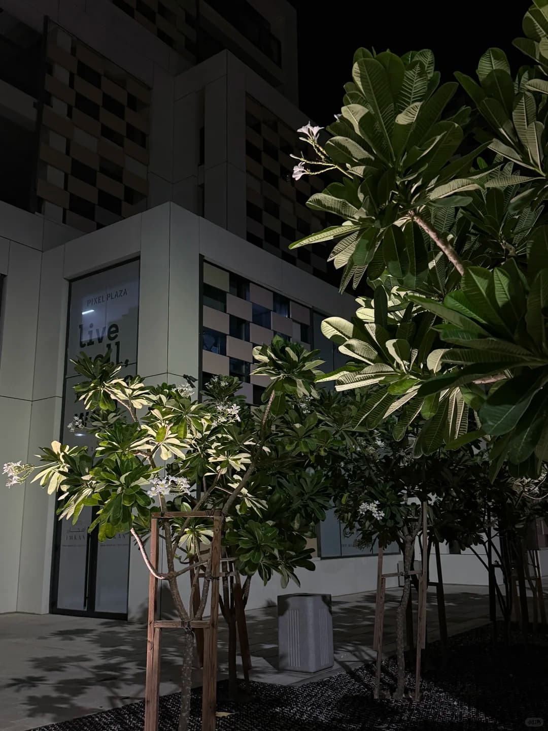 Abu Dhabi Reem Island Popular Apartment | Direct Rental from - 图片3