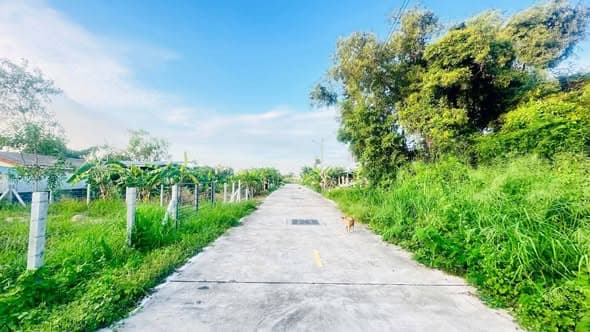 泰国หนองปลาไหล泳池别墅出租或出售,2房2卫带全套家具家电 - 图片3