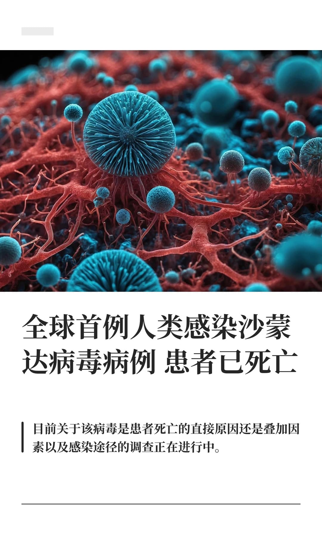 法国确诊全球首例人类沙蒙达病毒感染病例,患者已死亡 - 图片1